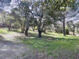 Terrain à bâtir à Vidauban (83550) 2308697-11039annonce320251017d75g6.jpeg Maisons France Confort