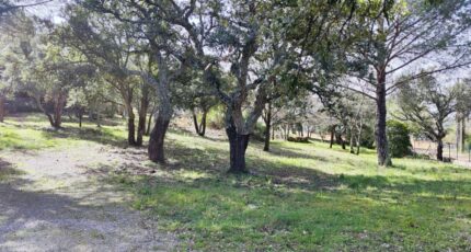 Vidauban Maison neuve - 2308725-11039annonce320251017d75g6.jpeg Maisons France Confort