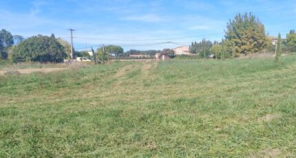 Vagnas Terrain à bâtir - 2307806-5100annonce220251016tzTQP.jpeg Maisons France Confort