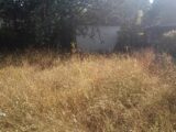 Terrain à bâtir à Aubignan (84810) 2308886-695annonce320251017o0zmU.jpeg Maisons France Confort
