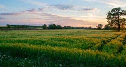 Tain-l'Hermitage Maison neuve - 2254905-11248annonce120250807OzJOZ.jpeg Maisons France Confort