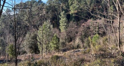 Joyeuse Terrain à bâtir - 2264532-5100annonce220250908eN8Q1.jpeg Maisons France Confort