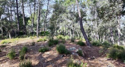 Vidauban Maison neuve - 2309119-11039annonce220251017GppA9.jpeg Maisons France Confort
