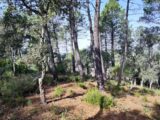Terrain à bâtir à Vidauban (83550) 2309090-11039annonce2202510179B8y2.jpeg Maisons France Confort