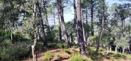 Terrain à bâtir à , Var