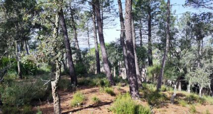 Vidauban Maison neuve - 2309137-11039annonce2202510179B8y2.jpeg Maisons France Confort