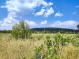 Terrain à bâtir à Garéoult (83136) 2309211-11039annonce120251017t3KD8.jpeg Maisons France Confort