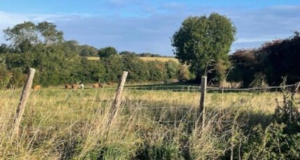 Nonant Terrain à bâtir - 2269348-10282annonce120250912Z1ewt.jpeg Maisons France Confort