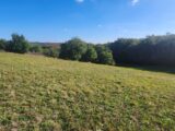 Terrain à bâtir à Tauriac (81630) 2309079-11178annonce4202510176rTpD.jpeg Maisons France Confort