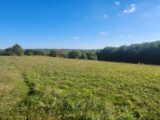 Maison à construire à Tauriac (81630) 2309080-11178annonce1202510172Hnvl.jpeg Maisons France Confort