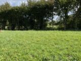 Maison à construire à Le Chevain (72610) 2309267-3704annonce120251017yerxy.jpeg Maisons France Confort