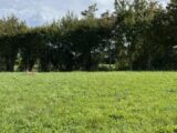 Maison à construire à Arçonnay (72610) 2309298-3704annonce120251017sgWLz.jpeg Maisons France Confort