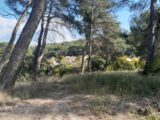 Terrain à bâtir à Septèmes-les-Vallons (13240) 2309419-11238annonce120251017UNGZP.jpeg Maisons France Confort