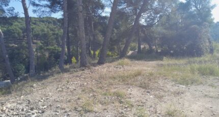 Septèmes-les-Vallons Terrain à bâtir - 2309419-11238annonce3202510176gMeU.jpeg Maisons France Confort