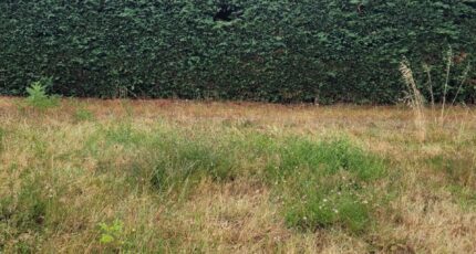 Izon Terrain à bâtir - 2266950-11293annonce220250910E5cPT.jpeg Maisons France Confort