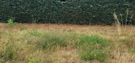 Terrain à bâtir à , Gironde