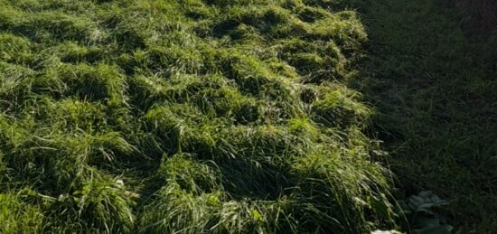 Terrain à bâtir à Montussan, Nouvelle-Aquitaine