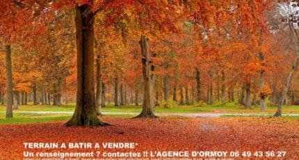 Mennecy Terrain à bâtir - 2309663-10545annonce320251017qXbB0.jpeg Maisons France Confort