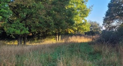 La Ferté-Gaucher Maison neuve - 2310095-11657annonce2202510186agsf.jpeg Maisons France Confort