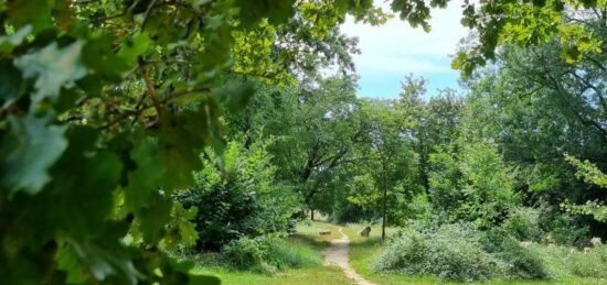 Terrain à bâtir à Floirac, Nouvelle-Aquitaine