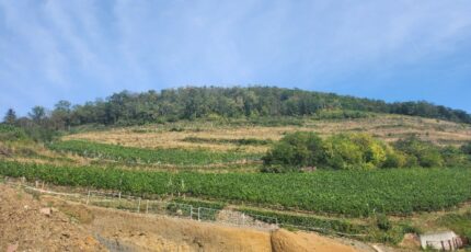 Guebwiller Maison neuve - 2246168-6989annonce220250818A2ICX.jpeg Maisons France Confort