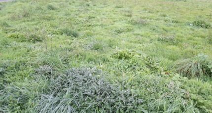 Couzeix Maison neuve - 2310743-3291annonce22025102056IWg.jpeg Maisons France Confort