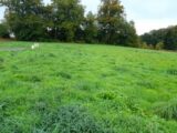 Terrain à bâtir à Couzeix (87270) 2310742-3291annonce32025102016Cia.jpeg Maisons France Confort