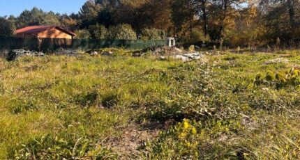 Camblanes-et-Meynac Terrain à bâtir - 2310588-10776annonce120251020lftxP.jpeg Maisons France Confort