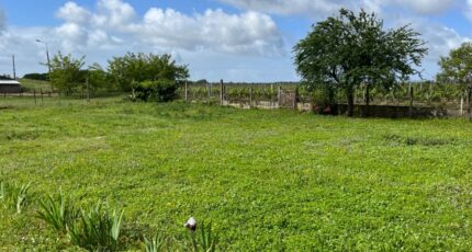 Le Porge Terrain à bâtir - 2310662-10776annonce120251020R6QJN.jpeg Maisons France Confort