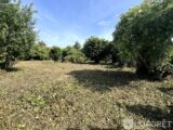 Terrain à bâtir à Templeuve (59242) 2309487-11632annonce120251017lMA8m.jpeg Maisons France Confort