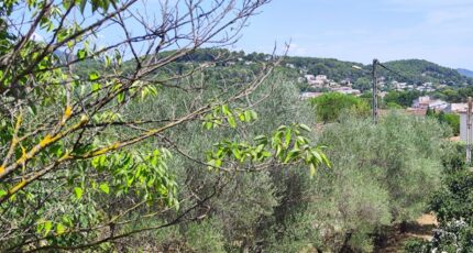 Cuers Maison neuve - 2311126-11039annonce320251020spi49.jpeg Maisons France Confort