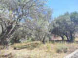 Terrain à bâtir à Pignans (83790) 2311173-11039annonce320251020TLsl2.jpeg Maisons France Confort