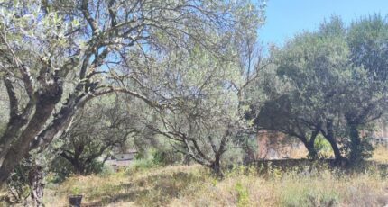 Pignans Terrain à bâtir - 2311173-11039annonce320251020TLsl2.jpeg Maisons France Confort