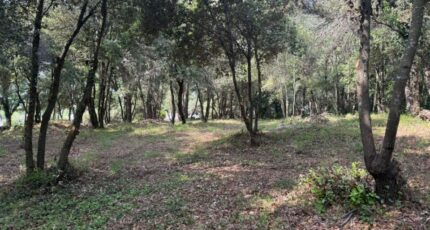 Biot Maison neuve - 2311057-9270annonce1202506263UTQg.jpeg Maisons France Confort