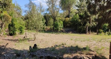 Saint-Jean-de-Barrou Terrain à bâtir - 2311251-10986annonce120251020DM5GA.jpeg Maisons France Confort