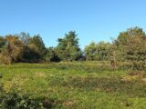 Terrain à bâtir à Saint-Rémy (24700) 2311509-5020annonce120251020kGJ1m.jpeg Maisons France Confort