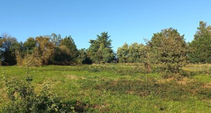 Saint-Rémy Terrain à bâtir - 2311509-5020annonce120251020kGJ1m.jpeg Maisons France Confort