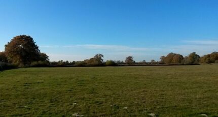 Sanguinet Terrain à bâtir - 2311715-3957annonce120251020TKsGv.jpeg Maisons France Confort