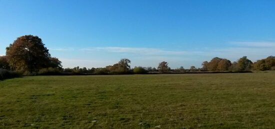 Terrain à bâtir à Sanguinet, Nouvelle-Aquitaine