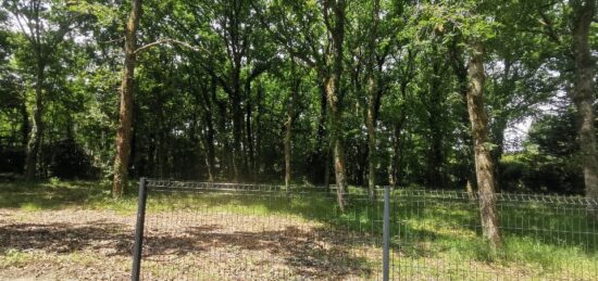 Terrain à bâtir à Le Barp, Nouvelle-Aquitaine