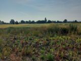 Terrain à bâtir à Houssen (68125) 2311368-5767annonce120251020rOSmD.jpeg Maisons France Confort