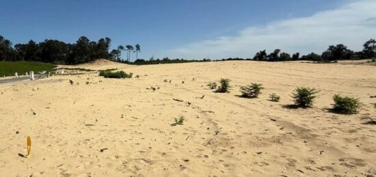 Terrain à bâtir à Labenne, Nouvelle-Aquitaine