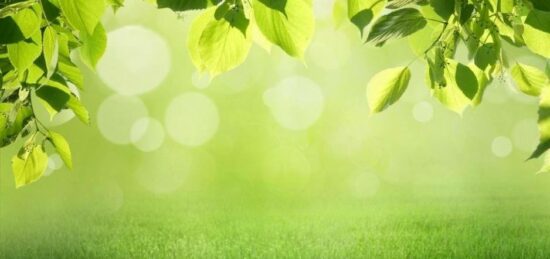 Terrain à bâtir à Soustons, Nouvelle-Aquitaine