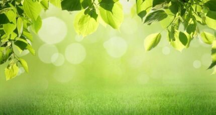 Soustons Maison neuve - 2299344-11299annonce1202510083Z9rH.jpeg Maisons France Confort