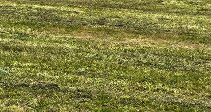 Saint-Georges-des-Coteaux Maison neuve - 2312208-10974annonce120251021O01G7.jpeg Maisons France Confort