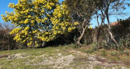 Bénesse-Maremne Maison neuve - 2312033-11650annonce120251021HSkLp.jpeg Maisons France Confort