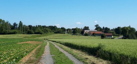 Terrain à bâtir à , Essonne