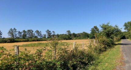 Lanton Terrain à bâtir - 2312745-1090annonce1202507313pZls.jpeg Maisons France Confort