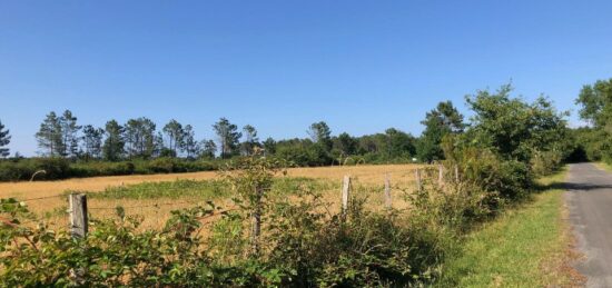 Terrain à bâtir à Lanton, Nouvelle-Aquitaine