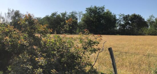 Terrain à bâtir à , Gironde